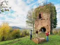 Un picnic con vista panoramica, perfetto per un tour enogastronomico in Piemonte.