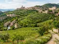 Un borgo umbro con vigneti e uliveti, perfetto per gite di un giorno da Perugia.