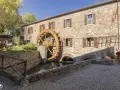 Mulino in pietra con ruota in legno, perfetto per le gite da Tuscany. Un angolo di pace tra alberi e acqua.