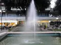 Fontana z fontanną w centrum Lido di Savio, z widokiem na sklepy i drzewa.