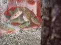 Antichi affreschi pompeiani, con pesci dipinti su sfondo rosso, mostrano la vivacità dei censurati.