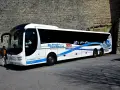 Autobus bianco con grafica blu "Rimini San Marino Bus Express". Un viaggio da Rimini a Comacchio? Questo bus è pronto!
