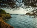 Vista dalla costa rocciosa, con pini che incorniciano il mare azzurro e una barca all'orizzonte. Un luogo incantevole, una punta licosa cosa vedere.