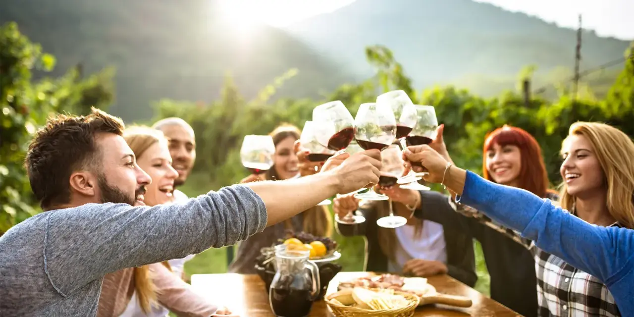 Amici brindano con vino rosso durante un aperitivo in vigna, con un paesaggio collinare sullo sfondo.