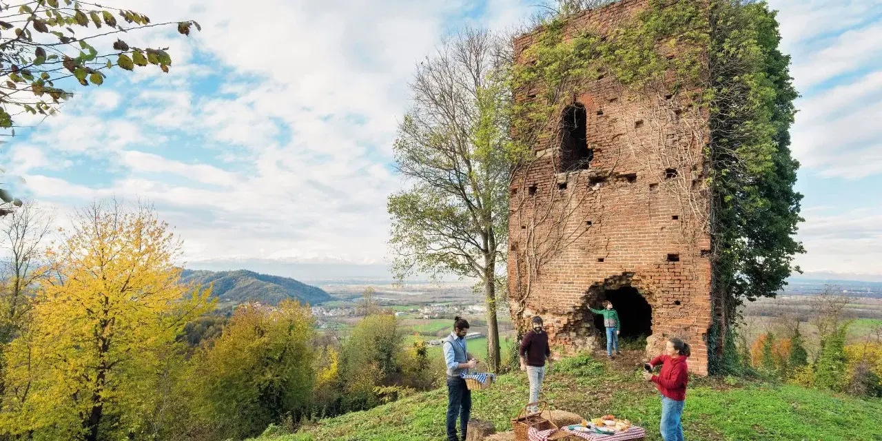Un picnic con vista panoramica, perfetto per un tour enogastronomico in Piemonte.