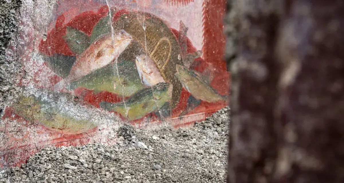 Antichi affreschi pompeiani, con pesci dipinti su sfondo rosso, mostrano la vivacità dei censurati.