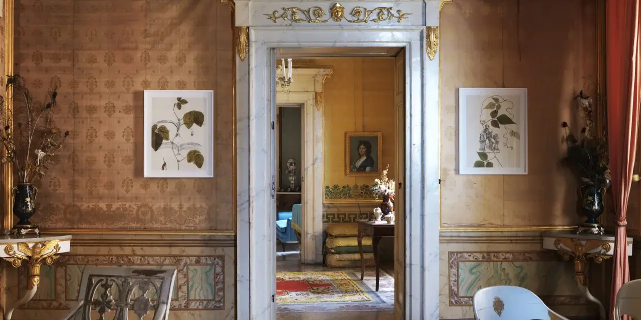 Interni della Casina Vanvitelliana: un salone con tappezzeria damascata, quadri botanici, mobili d'epoca e un'apertura su un'altra stanza.