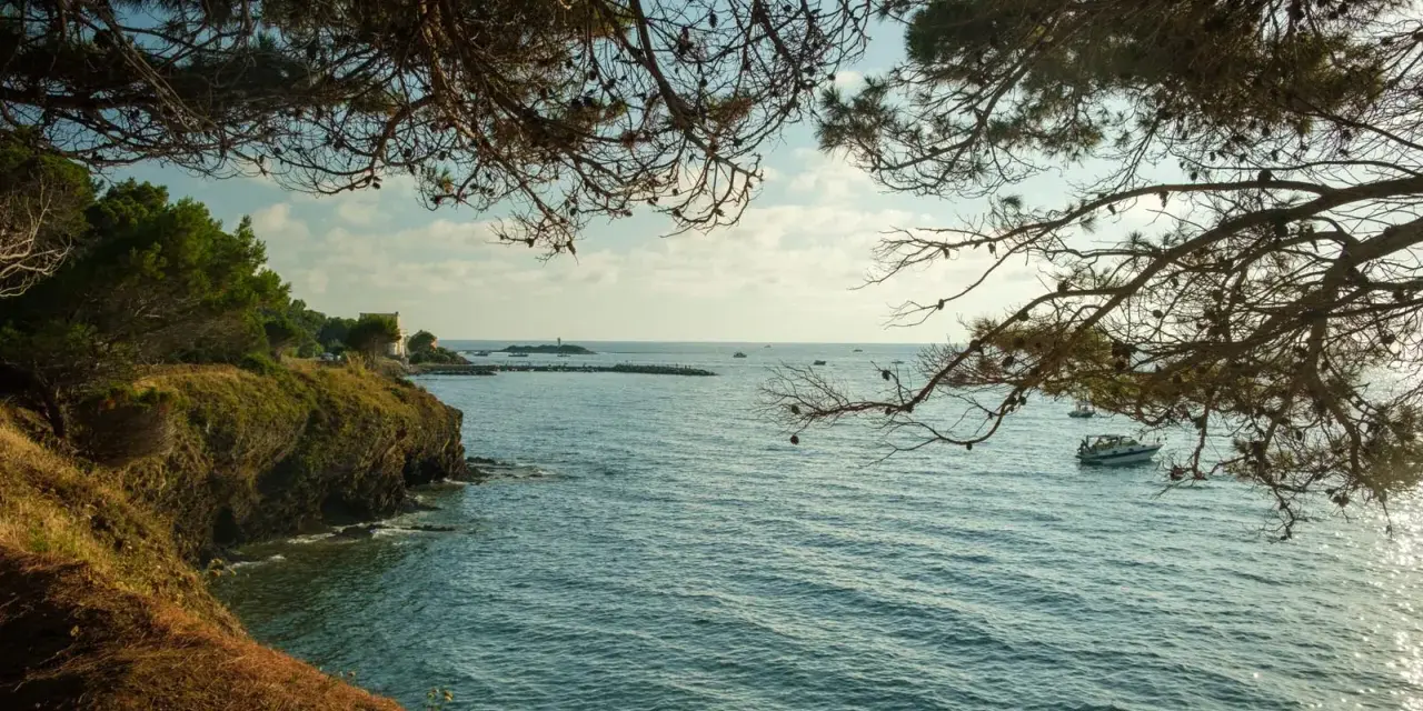 Vista dalla costa rocciosa, con pini che incorniciano il mare azzurro e una barca all'orizzonte. Un luogo incantevole, una punta licosa cosa vedere.