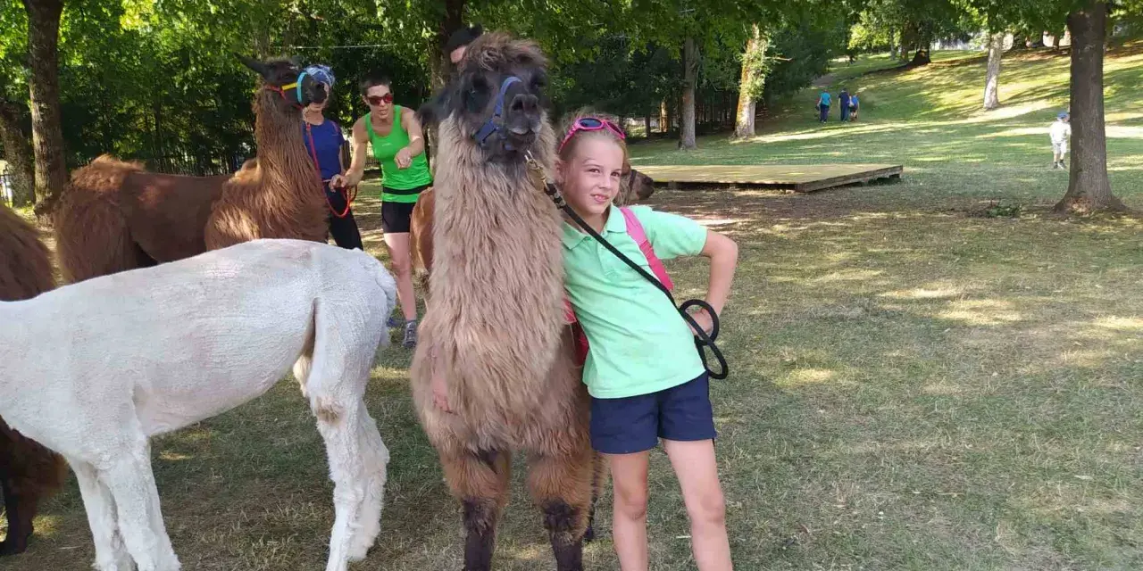 Bambini a Cavalese incontrano lama e alpaca in una giornata soleggiata nel prato.