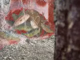 Antichi affreschi pompeiani, con pesci dipinti su sfondo rosso, mostrano la vivacità dei censurati.