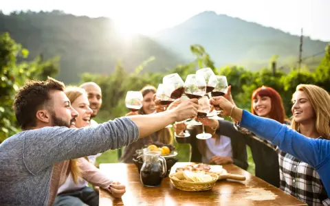 Amici brindano con vino rosso durante un aperitivo in vigna, con un paesaggio collinare sullo sfondo.