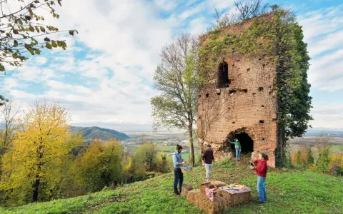 Un picnic con vista panoramica, perfetto per un tour enogastronomico in Piemonte.