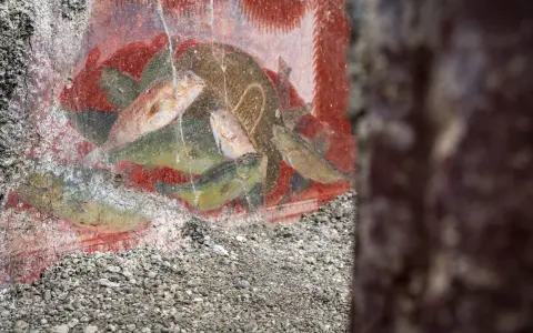 Antichi affreschi pompeiani, con pesci dipinti su sfondo rosso, mostrano la vivacità dei censurati.