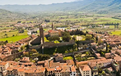 Un borgo medievale in collina, perfetto per un tour Toscana 4 giorni. Case con tetti rossi e una torre imponente dominano il paesaggio verdeggiante.