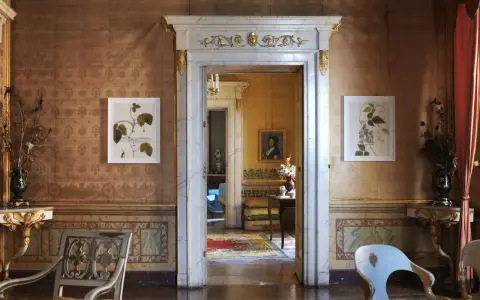 Interni della Casina Vanvitelliana: un salone con tappezzeria damascata, quadri botanici, mobili d'epoca e un'apertura su un'altra stanza.