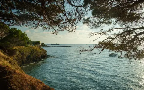 Vista dalla costa rocciosa, con pini che incorniciano il mare azzurro e una barca all'orizzonte. Un luogo incantevole, una punta licosa cosa vedere.