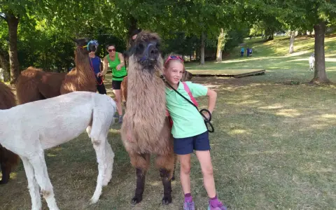 Bambini a Cavalese incontrano lama e alpaca in una giornata soleggiata nel prato.