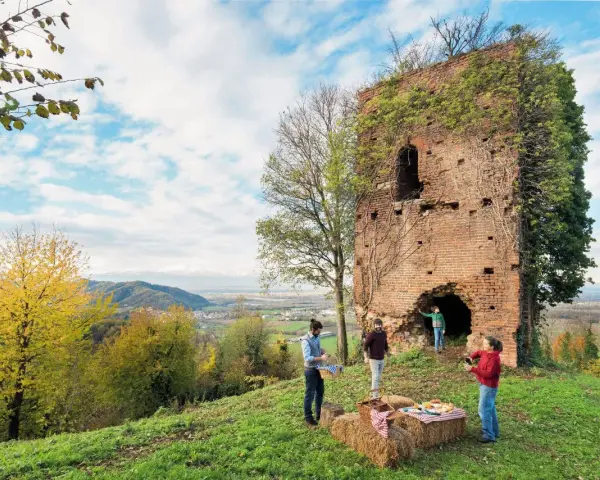 Un picnic con vista panoramica, perfetto per un tour enogastronomico in Piemonte.