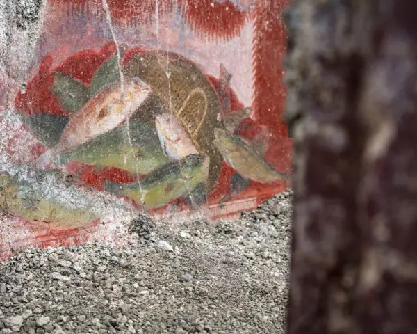 Antichi affreschi pompeiani, con pesci dipinti su sfondo rosso, mostrano la vivacità dei censurati.