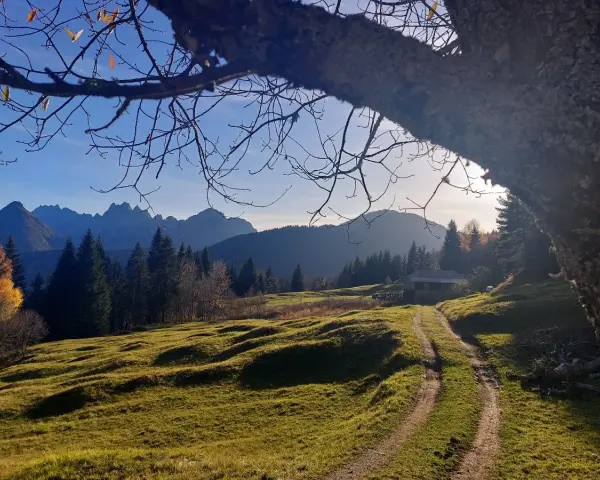 Sentiero in collina con casetta e montagne sullo sfondo, un assaggio di cosa vedere a Tarvisio in autunno.