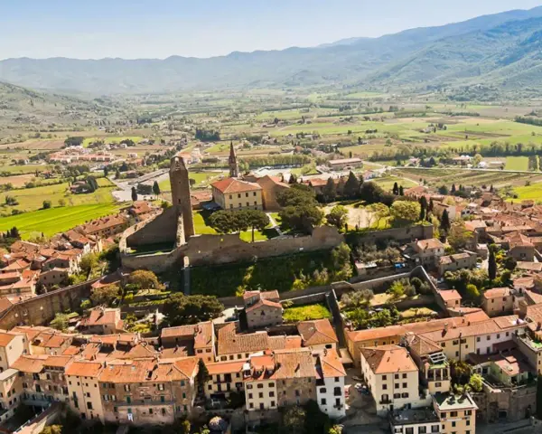 Un borgo medievale in collina, perfetto per un tour Toscana 4 giorni. Case con tetti rossi e una torre imponente dominano il paesaggio verdeggiante.