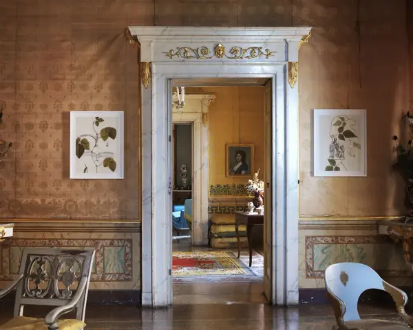 Interni della Casina Vanvitelliana: un salone con tappezzeria damascata, quadri botanici, mobili d'epoca e un'apertura su un'altra stanza.