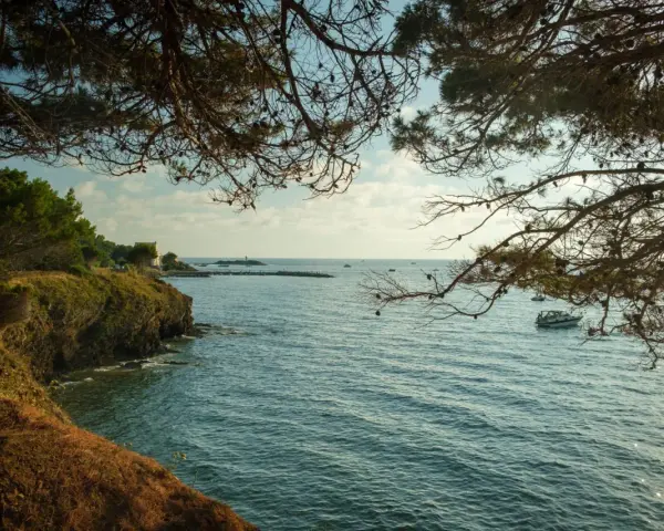 Vista dalla costa rocciosa, con pini che incorniciano il mare azzurro e una barca all'orizzonte. Un luogo incantevole, una punta licosa cosa vedere.