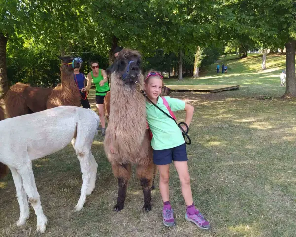 Bambini a Cavalese incontrano lama e alpaca in una giornata soleggiata nel prato.