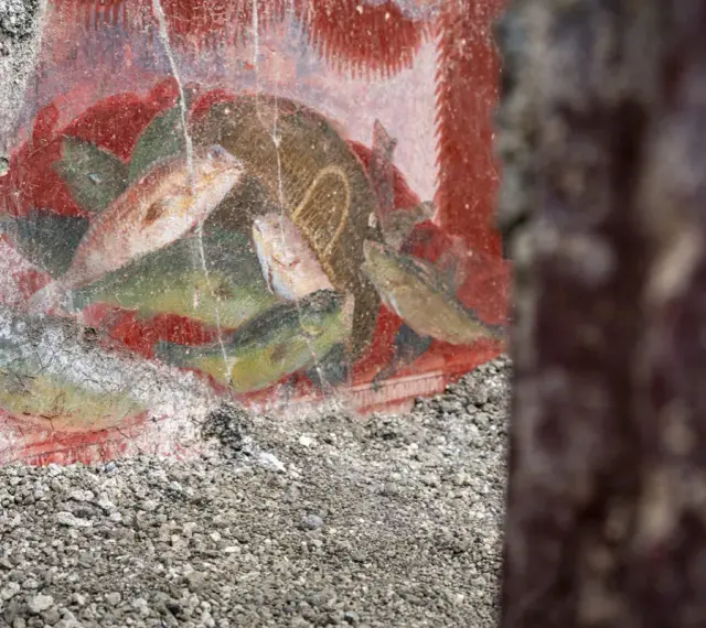 Antichi affreschi pompeiani, con pesci dipinti su sfondo rosso, mostrano la vivacità dei censurati.