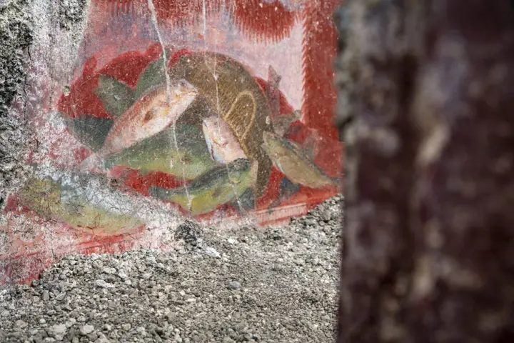 Antichi affreschi pompeiani, con pesci dipinti su sfondo rosso, mostrano la vivacità dei censurati.