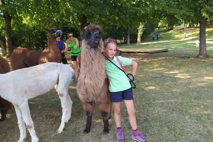 Bambini a Cavalese incontrano lama e alpaca in una giornata soleggiata nel prato.