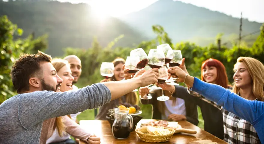 Amici brindano con vino rosso durante un aperitivo in vigna, con un paesaggio collinare sullo sfondo.