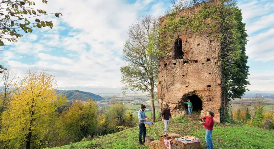 Un picnic con vista panoramica, perfetto per un tour enogastronomico in Piemonte.