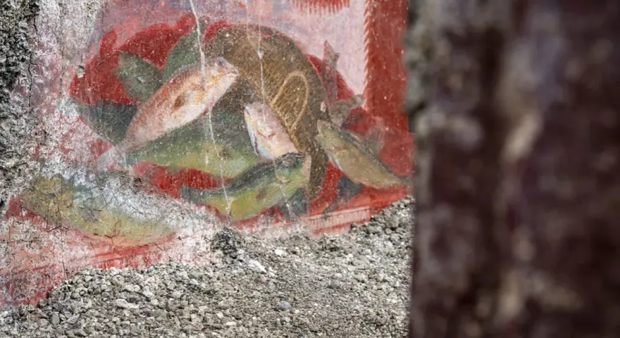 Antichi affreschi pompeiani, con pesci dipinti su sfondo rosso, mostrano la vivacità dei censurati.