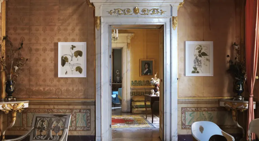 Interni della Casina Vanvitelliana: un salone con tappezzeria damascata, quadri botanici, mobili d'epoca e un'apertura su un'altra stanza.