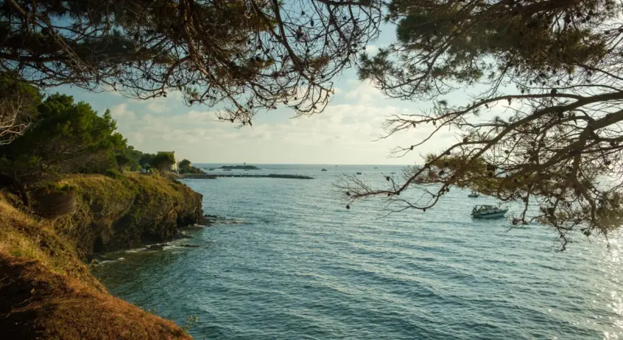 Vista dalla costa rocciosa, con pini che incorniciano il mare azzurro e una barca all'orizzonte. Un luogo incantevole, una punta licosa cosa vedere.