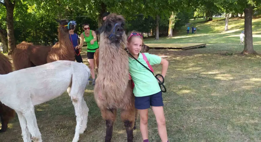 Bambini a Cavalese incontrano lama e alpaca in una giornata soleggiata nel prato.