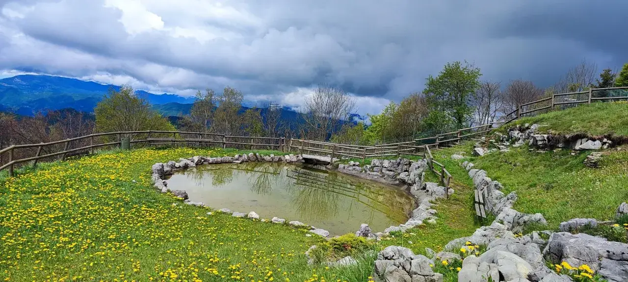 Un laghetto circondato da fiori gialli e rocce, con montagne sullo sfondo. Un luogo tranquillo per scoprire cosa fare a Selvino.