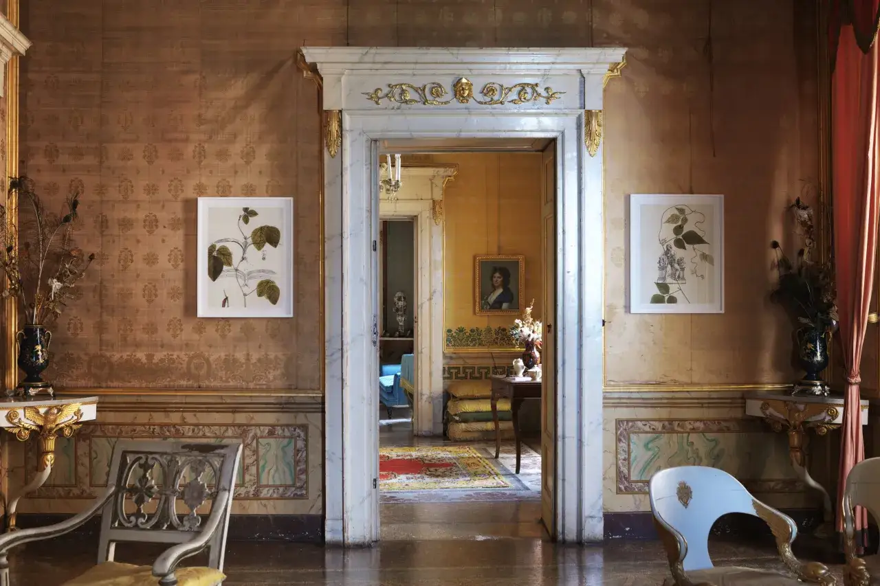 Interni della Casina Vanvitelliana: un salone dorato con tappeti, quadri botanici e arredi d'epoca.